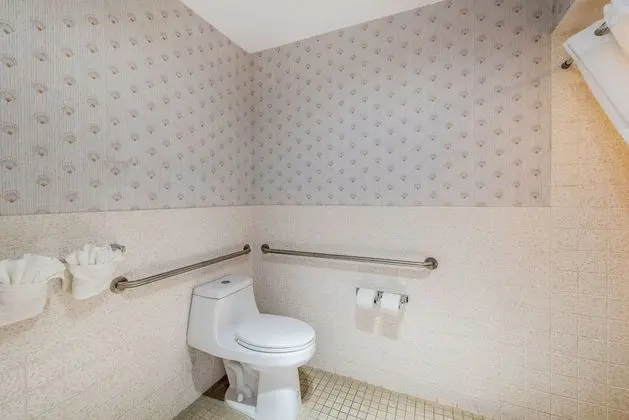 Oda, 1 En Büyük (King) Boy Yatak, Engellilere Uygun, Sigara İçilmez (Roll in Shower)