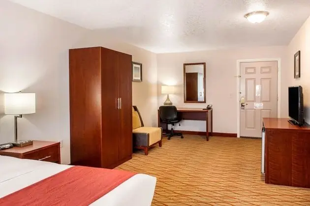 Oda, 1 En Büyük (King) Boy Yatak, Engellilere Uygun, Sigara İçilmez (Roll in Shower)