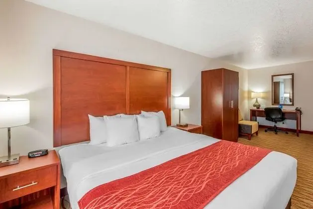 Oda, 1 En Büyük (King) Boy Yatak, Engellilere Uygun, Sigara İçilmez (Roll in Shower)