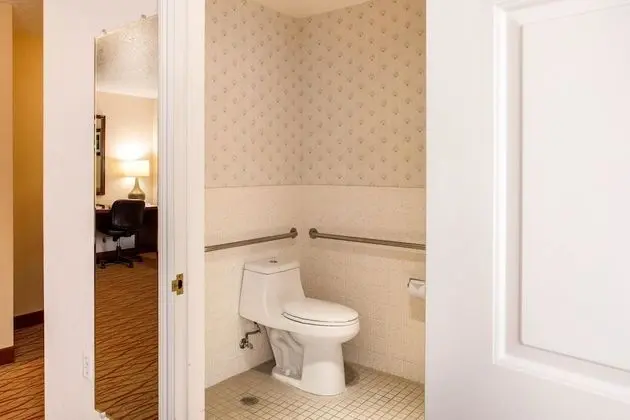 Oda, 1 En Büyük (King) Boy Yatak, Engellilere Uygun, Sigara İçilmez (Roll in Shower)