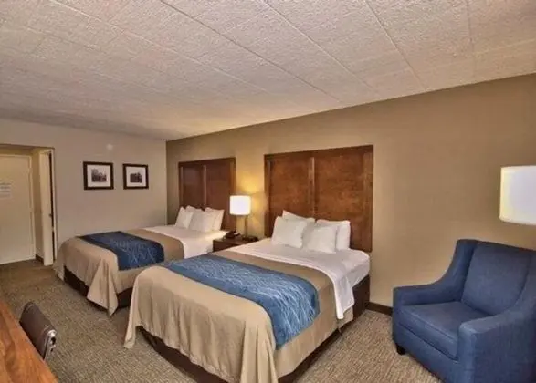 Room, 2 Queen Beds
