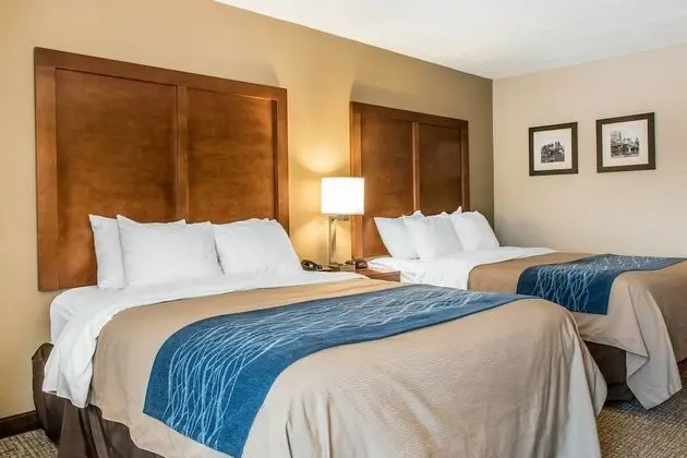 Room, 2 Queen Beds