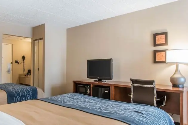 Room, 2 Queen Beds