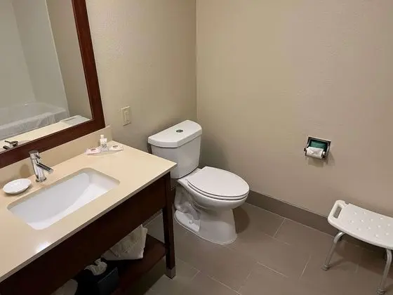 Oda, 1 Büyük (Queen) Boy Yatak, Engellilere Uygun, Sigara İçilmez (Mob,Tub w/Grab Bars)