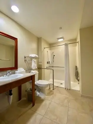 Oda, 1 En Büyük (King) Boy Yatak, Sigara İçilmez (Roll-In Shower)