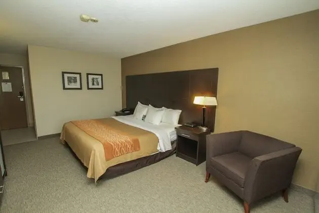 Standard Oda, 1 En Büyük (King) Boy Yatak, Sigara İçilmez