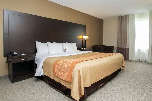 Standard Oda, 1 En Büyük (King) Boy Yatak, Sigara İçilmez