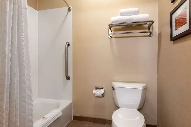 Süit, 1 En Büyük (King) Boy Yatak, Engellilere Uygun, Sigara İçilmez