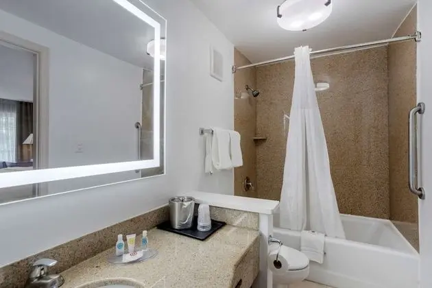 Oda, 1 En Büyük (King) Boy Yatak, Engellilere Uygun, Sigara İçilmez (Roll-In Shower)