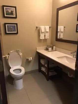 Standard Tek Kişilik Oda, 1 En Büyük (King) Boy Yatak, Sigara İçilmez
