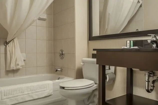 Comfort Care, Tek Büyük Yataklı Oda, 2 Çift Kişilik Yatak