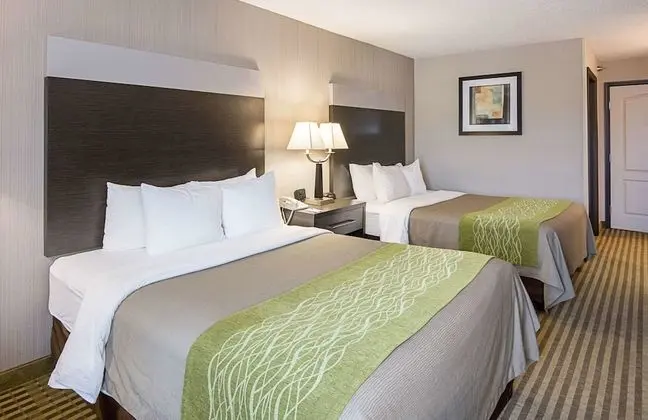 Standard Oda, 2 Büyük (Queen) Boy Yatak, Sigara İçilmez