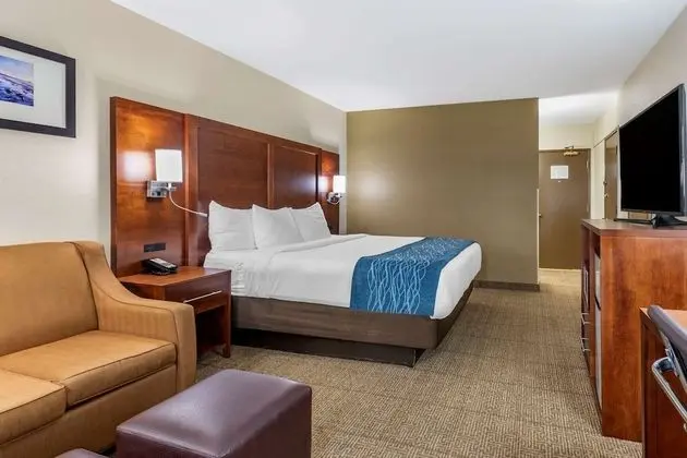 Standard Oda, 1 En Büyük (King) Boy Yatak ve Çekyat, Engellilere Uygun (Roll-In Shower)