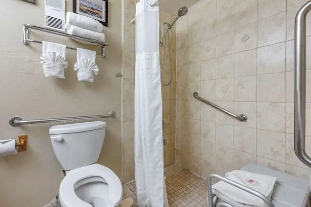 Standard Oda, 1 En Büyük (King) Boy Yatak ve Çekyat, Engellilere Uygun (Roll-In Shower)