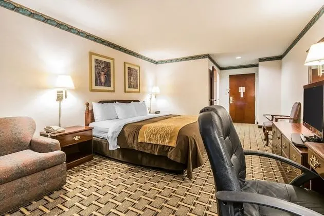 Standard Oda, 1 En Büyük (King) Boy Yatak, Sigara İçilmez