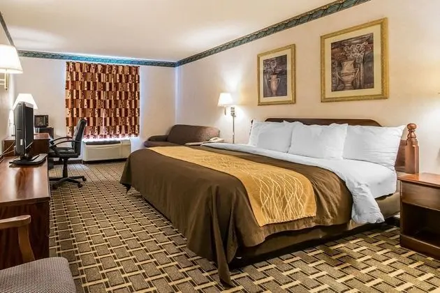 Standard Oda, 1 En Büyük (King) Boy Yatak, Sigara İçilmez