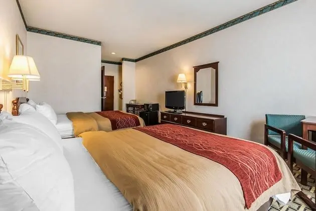 Standard Oda, 2 Büyük (Queen) Boy Yatak, Sigara İçilmez