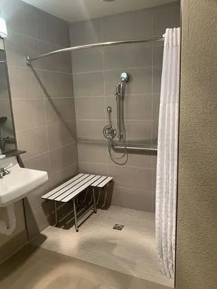 Oda, 1 Çift Kişilik Yatak, Engellilere Uygun, Sigara İçilmez (Roll-In Shower)