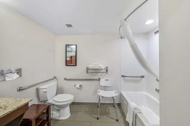 Oda, 1 En Büyük (King) Boy Yatak, Engellilere Uygun, Sigara İçilmez (Accessible Tub)