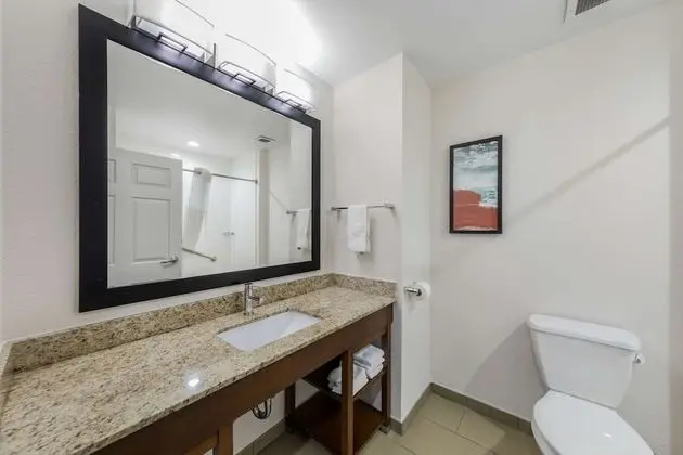Oda, 1 En Büyük (King) Boy Yatak, Engellilere Uygun, Sigara İçilmez (Roll-In Shower)