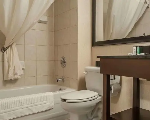 Tek Büyük Yataklı Oda, 2 Çift Kişilik Yatak, Sigara İçilmez (Stair Access Only)
