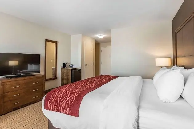 Standard King Non Smoking Superior Room