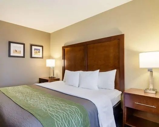 Süit, 1 En Büyük (King) Boy Yatak ve Çekyat, Sigara İçilmez (Upgrade)