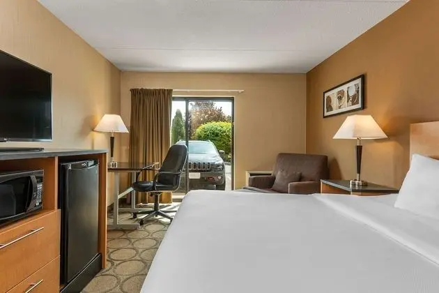 Deluxe Oda, 1 Büyük (Queen) Boy Yatak, Zemin Kat (Pet Friendly)