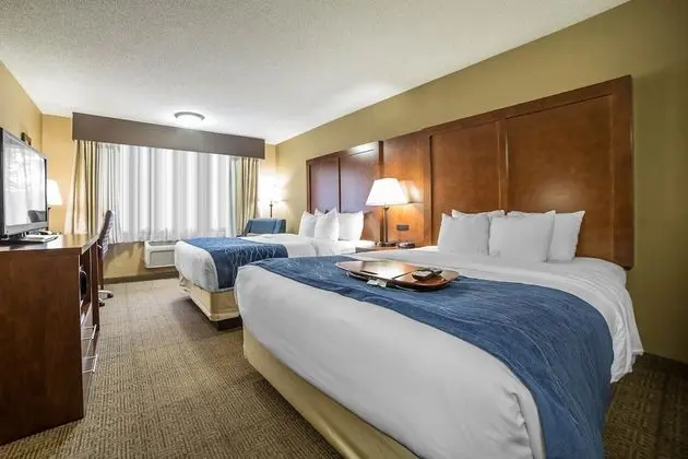 Oda, 2 Büyük (Queen) Boy Yatak, Sigara İçilmez (Pet Friendly)