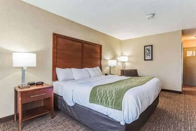 Standard Oda, 1 En Büyük (King) Boy Yatak, Sigara İçilmez