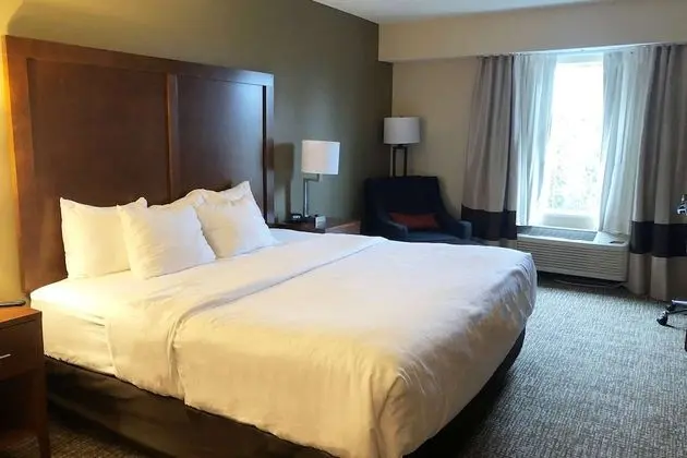 Deluxe Oda, 1 En Büyük (King) Boy Yatak, Sigara İçilmez