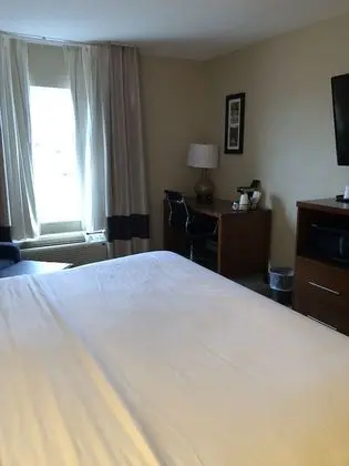 Deluxe Oda, 1 En Büyük (King) Boy Yatak, Sigara İçilmez