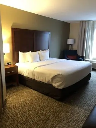 Deluxe Oda, 1 En Büyük (King) Boy Yatak, Sigara İçilmez