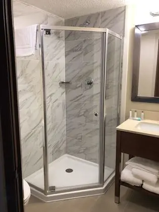 Deluxe Oda, 1 En Büyük (King) Boy Yatak, Sigara İçilmez