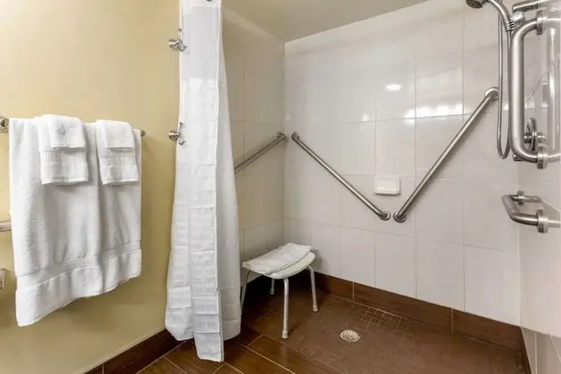 Oda, 1 En Büyük (King) Boy Yatak, Engellilere Uygun, Sigara İçilmez (Accessible Tub)