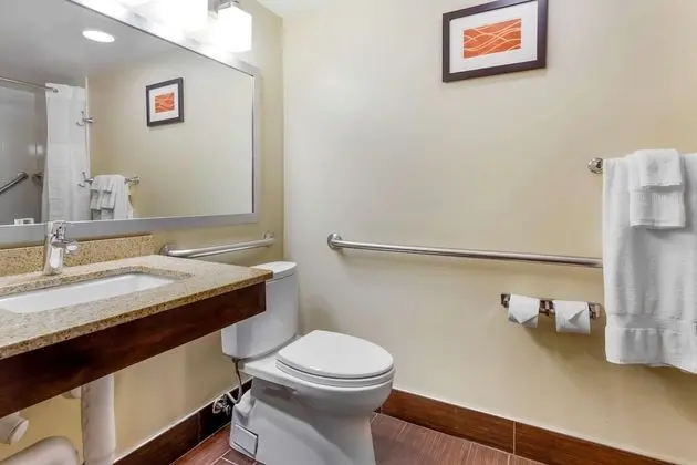 Oda, 1 En Büyük (King) Boy Yatak, Engellilere Uygun, Sigara İçilmez (Accessible Tub)
