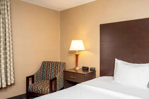 Süit, 1 En Büyük (King) Boy Yatak ve Çekyat, Sigara İçilmez (Upgrade, Pet Friendly)