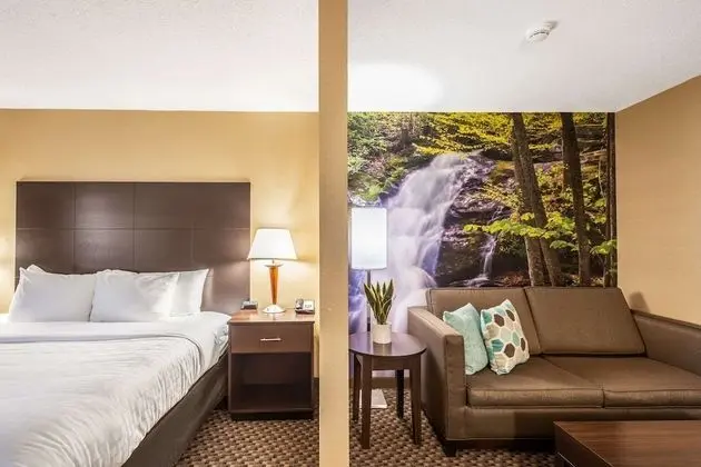 Süit, 1 En Büyük (King) Boy Yatak ve Çekyat, Sigara İçilmez (Upgrade, Pet Friendly)