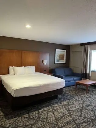 Süit, 1 En Büyük (King) Boy Yatak, Sigara İçilmez, Buzdolabı ve Mikrodalga (Larger Room)