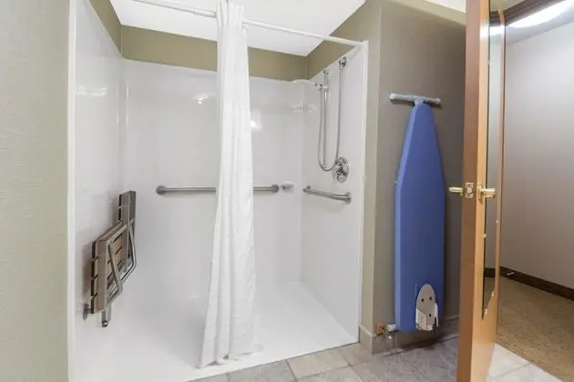 Oda, 1 En Büyük (King) Boy Yatak, Engellilere Uygun, Sigara İçilmez (Roll-In Shower)