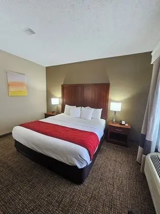 Oda, 1 En Büyük (King) Boy Yatak, Engellilere Uygun, Sigara İçilmez