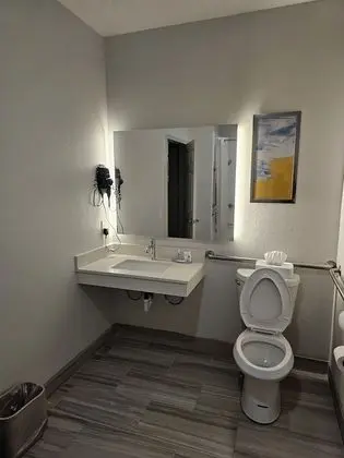 Oda, 1 En Büyük (King) Boy Yatak, Engellilere Uygun, Sigara İçilmez