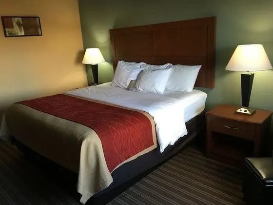 Oda, 1 En Büyük (King) Boy Yatak, Sigara İçilmez