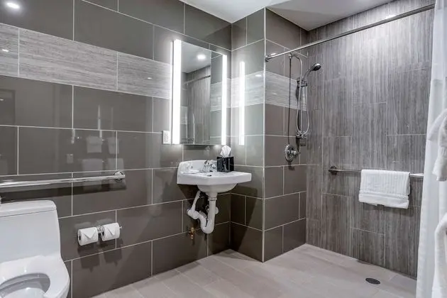 Standard Oda, 1 En Büyük (King) Boy Yatak, Engellilere Uygun, Sigara İçilmez (Roll-In Shower)
