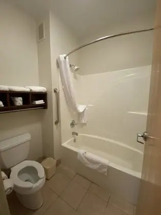 Oda, 1 En Büyük (King) Boy Yatak, Engellilere Uygun, Sigara İçilmez (Accessible Tub)