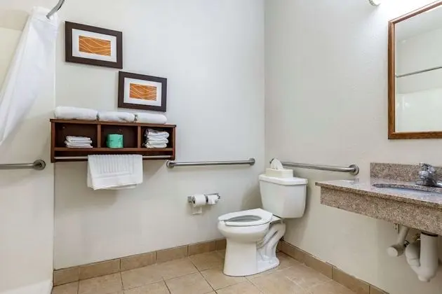 Oda, 1 En Büyük (King) Boy Yatak, Engellilere Uygun, Sigara İçilmez (Accessible Tub)