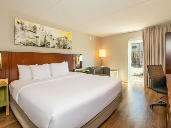 Oda, 1 En Büyük (King) Boy Yatak, Sigara İçilmez (Pet Friendly)