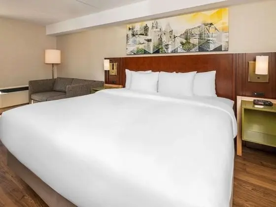 Oda, 1 En Büyük (King) Boy Yatak, Sigara İçilmez (Pet Friendly)