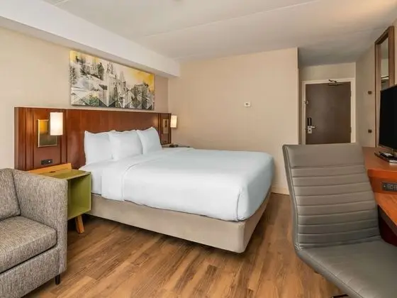 Oda, 1 En Büyük (King) Boy Yatak, Sigara İçilmez (Pet Friendly)