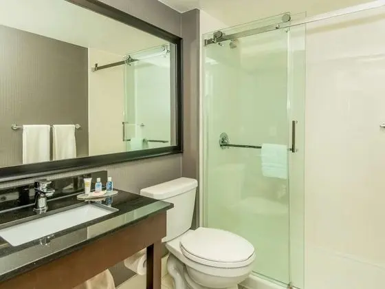 Oda, 1 En Büyük (King) Boy Yatak, Sigara İçilmez (Pet Friendly)